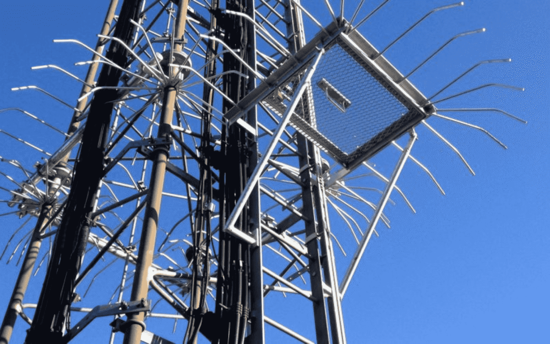 Need to know proximity effect in transmission lines